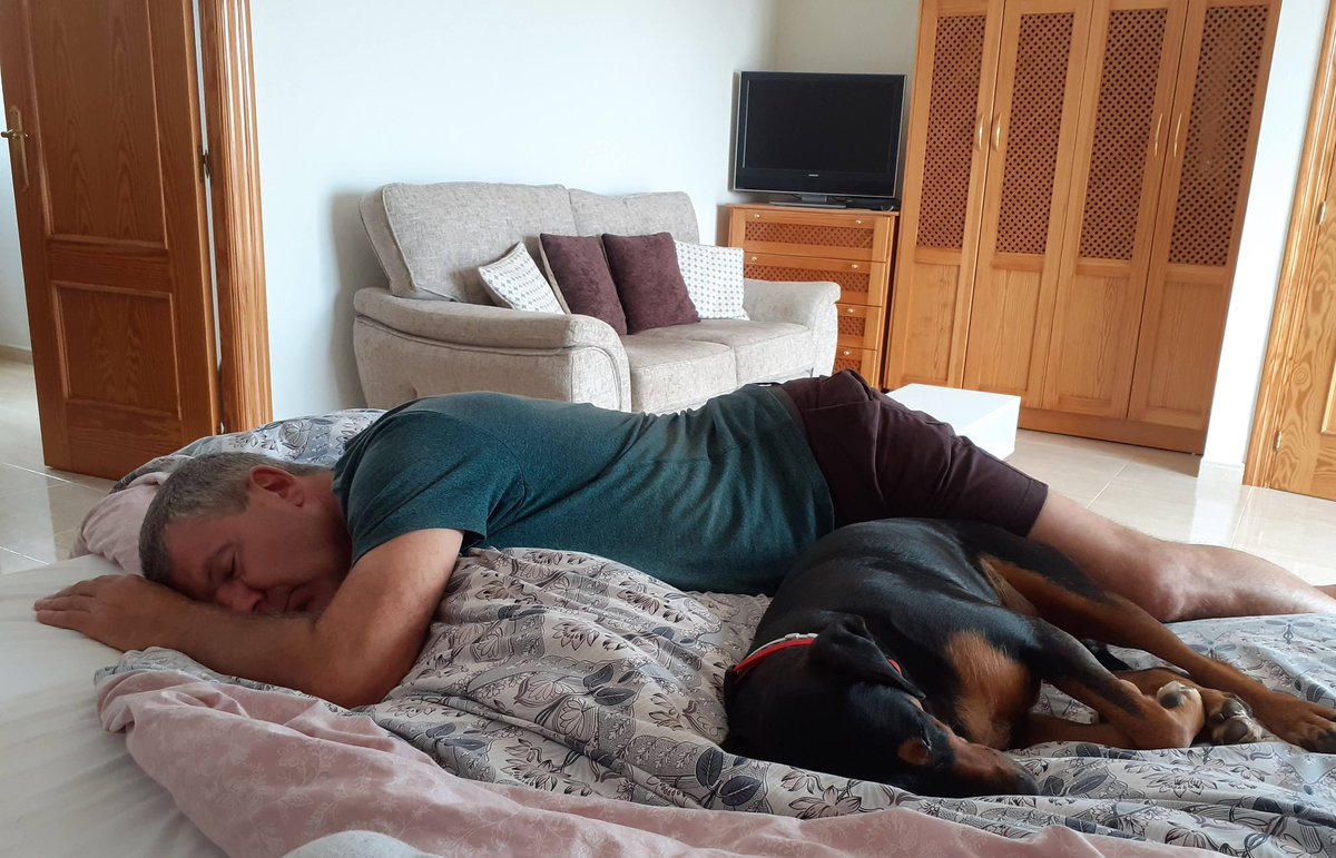 AngelaB06773168's tweet photo. When in Spain do as the #spanish do.. #siesta #daytimedrinking #beagleman #dogsoftwitter https://t.co/mlPXKI5ry0