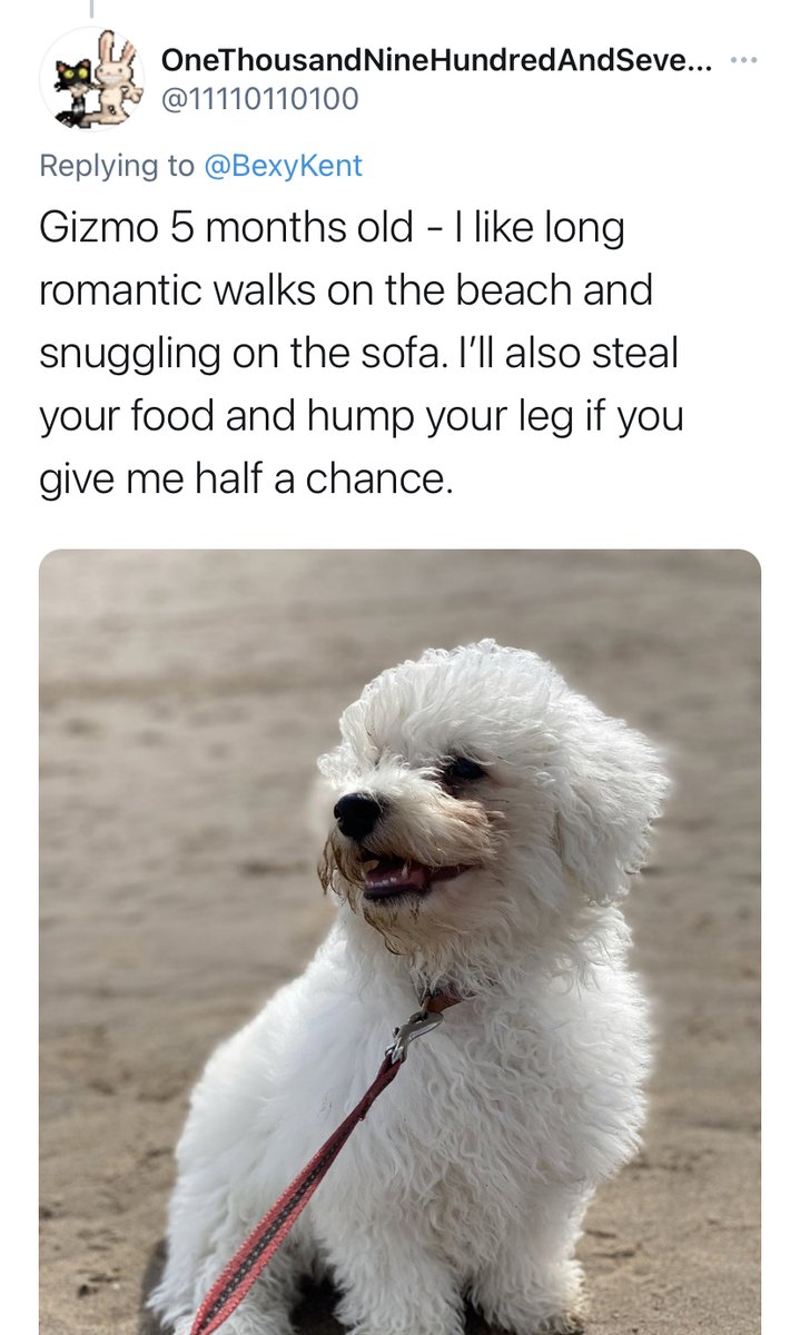 BuzzFeed tweet media