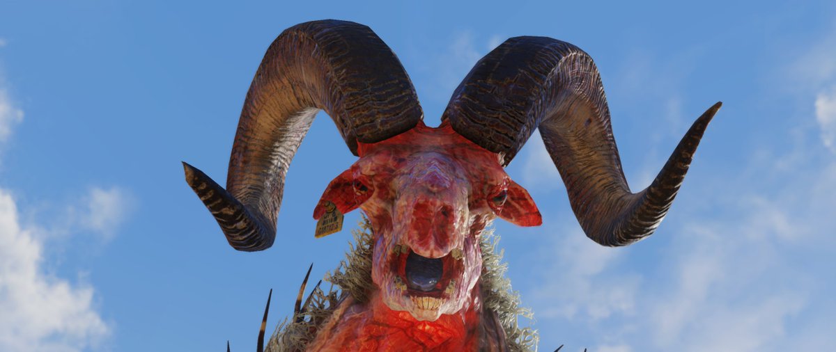 What you see VS what she sees 😐 #Fallout76 #VGPUnite