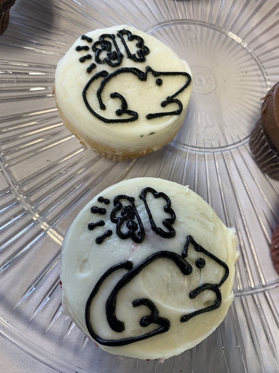 MinerviniLab's tweet image. The cupcakes at the poster session this afternoon were delightful @cu_curas @Creighton