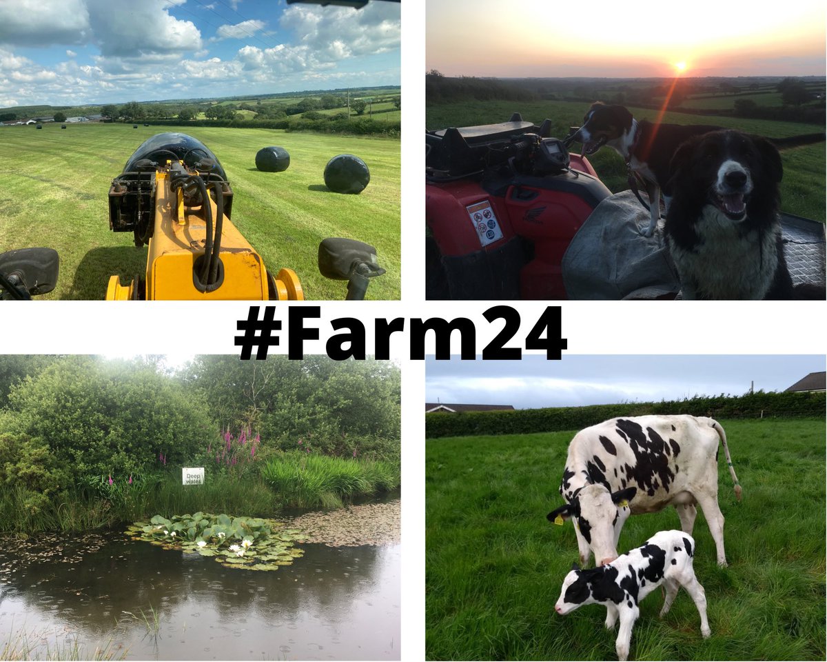 A little insight into life on the farm #Farm24 #WeAreWelshFarming #WeAreFirstMilk