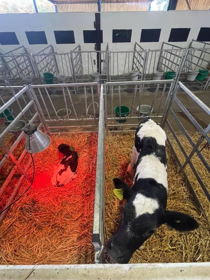 Annabelle Howell tweet media