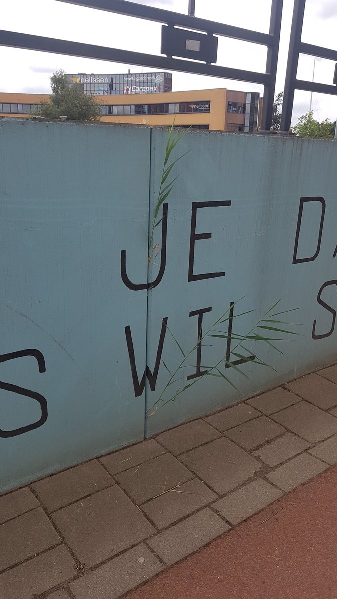 VHuizinga's tweet image. Waar een wil is, is een weg.