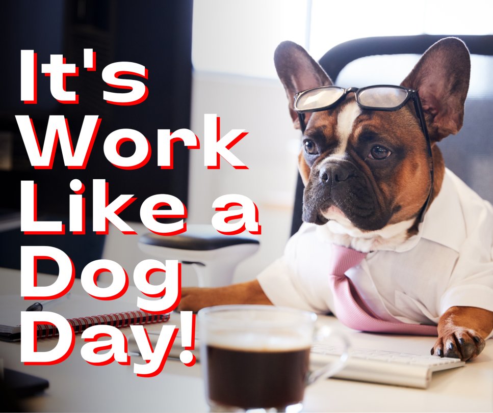 BayStatePet's tweet photo. Today is #worklikeadogday ! Share a pic of your pup working at the paw-fice and tag us! 🐶👔 https://t.co/pPRU4PhYzS