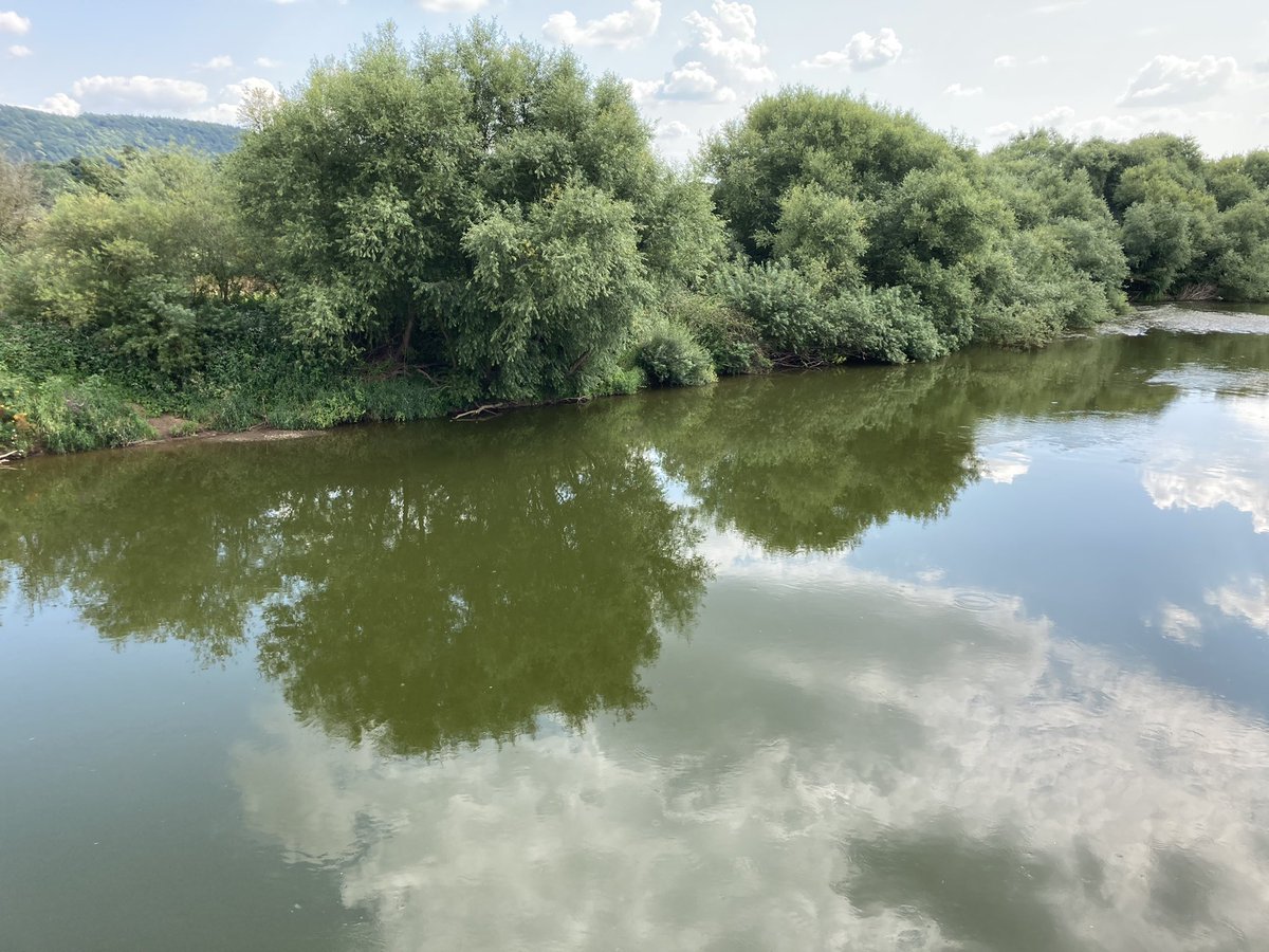 The River Wye at Ross - and it’s green. Record levels of phosphate have been recorded this week and campaigners say it’s due to the 20 million chickens being reared in the river catchment. What can be done to save the nation’s “favourite river”? From 0600 with <a href="/Elliottjwebb/">Elliott Webb</a>