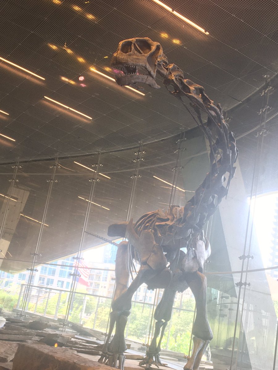 Don’t be a dinosaur…Math and Science do unite! <a href="/GPISDScience/">GPISDScience</a> <a href="/GPISDSecMath/">GPISD Secondary Math</a> #GPISDTLC