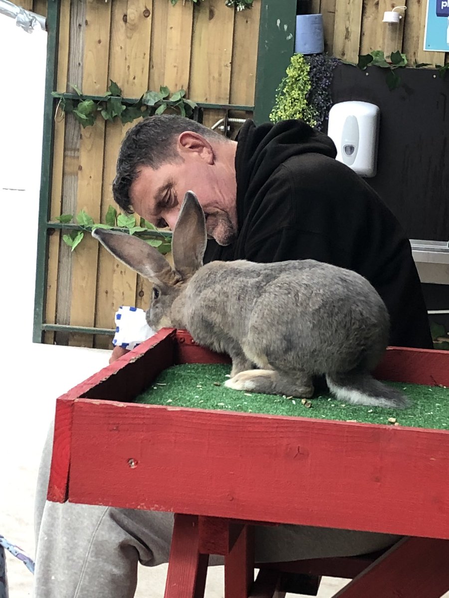 CProclean's tweet photo. One 1/2 of @CProclean having a day off at @Cockfields_Farm with the grandchildren https://t.co/6nxUOx0zT0