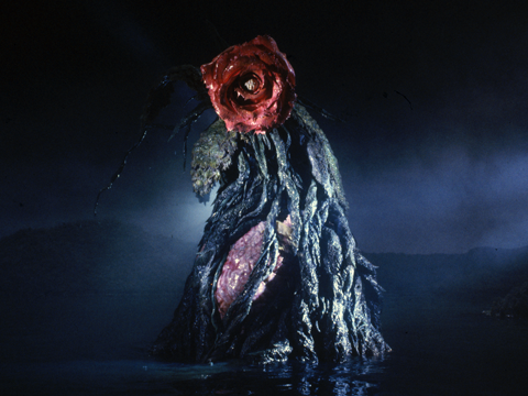 Godzilla_Toho's tweet photo. A rose by any other name would smell as sweet. 🌹

#GodzillaVSBiollante https://t.co/p9K352RokF