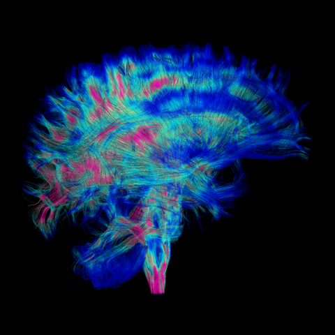 MUTEK_Montreal's tweet photo. Join the @soundworks_app team for #MUTEKForum, to discuss how to craft mindful sound art, optimized for focus & meditation. With neuroscientist @LukasJanVolz , spatial sound artists #RichardChartier & #GrandRiver. #neuroscience #soundmeditation
Info: https://t.co/8N6OF387DY https://t.co/8ZCWPTP4zm