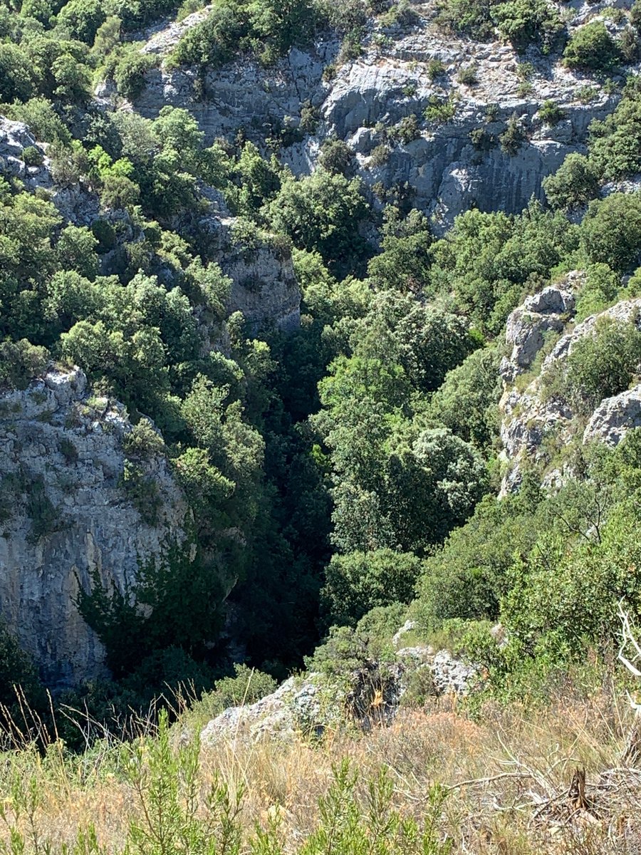 einSteinLyon's tweet photo. ...a few days together in the Luberon ...😊 https://t.co/70eJ5OKYQS