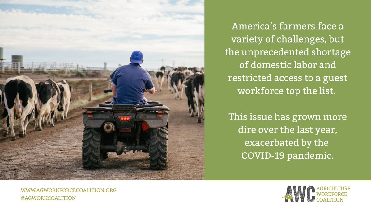Farmers face a shortage of legally authorized and experienced workers each year which threatens the sustainability/security of U.S. based agriculture. <a href="/JohnCornyn/">Senator John Cornyn</a> we need the help of Congress to provide long-lasting solutions to these long-standing problems. #Ag4Immigration