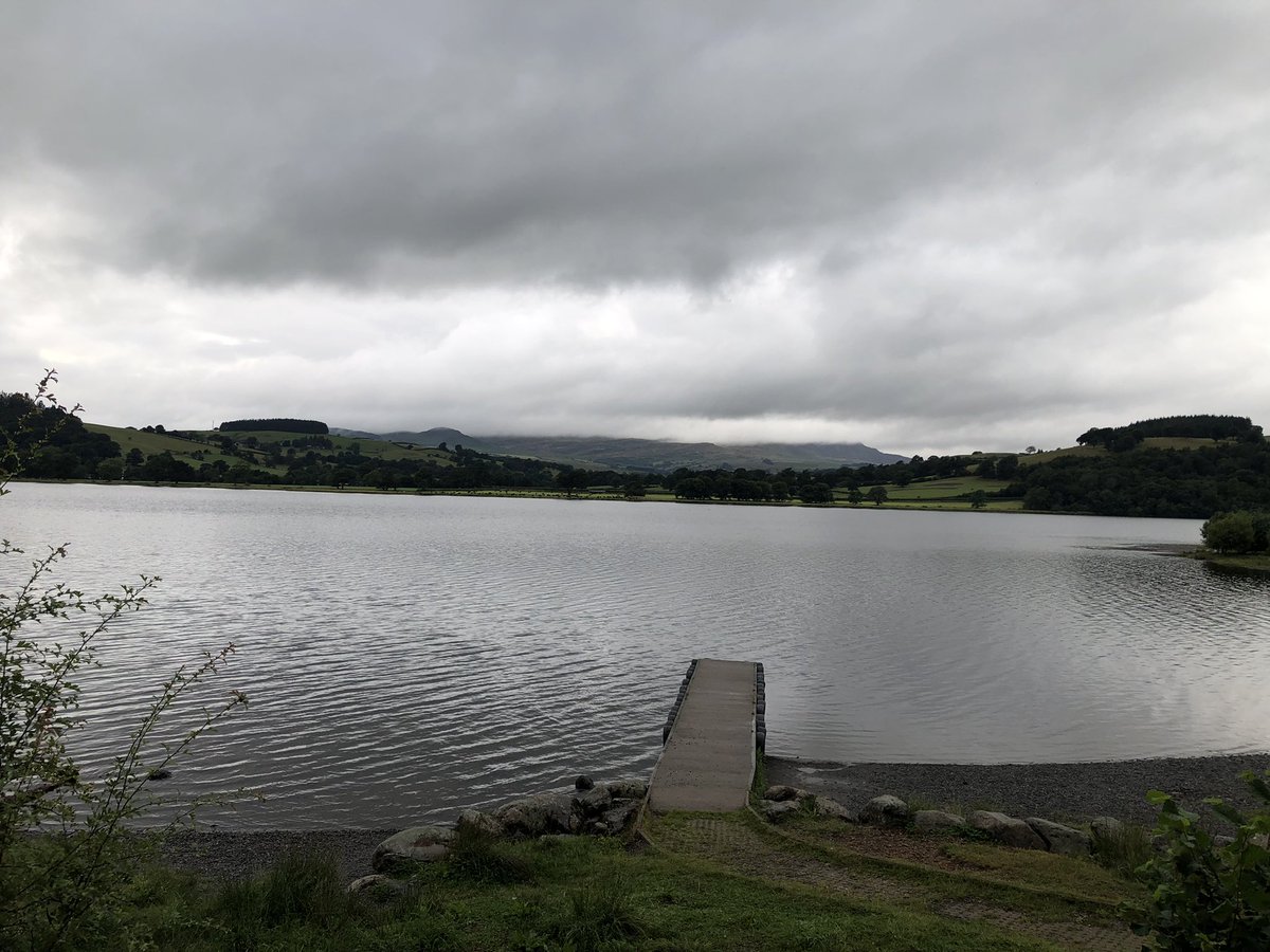 Alison Hadley 🛵 tweet media