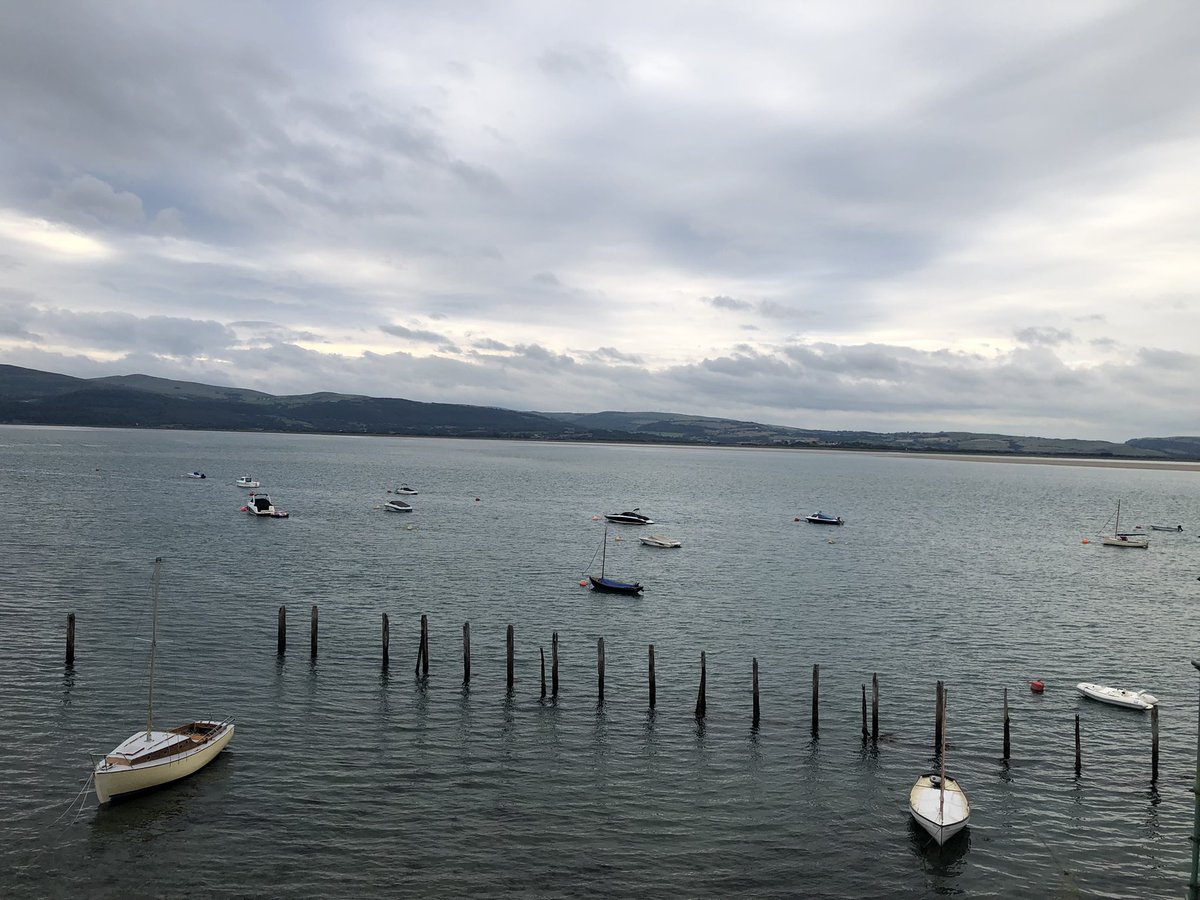 Alison Hadley 🛵 tweet media