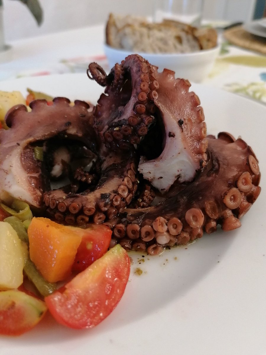 dianabuso's tweet photo. OCTOPUS 🐙
Quante ricette e modalità di cottura...
Il mio piatto preferito resta sempre il classico polpo bollito con patate e pomodorini.
Con #bimbytm6 e la cottura a #varoma in 30 minuti è già pronto!
#ipiattididiana #cucinoconbimby #bimbycommunitystar #bimbyitalia #cookidoo https://t.co/g0BzJTnh8D