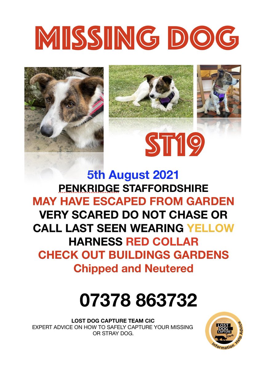 LostCapture's tweet image. Lost Dog in Penkridge Staffordshire