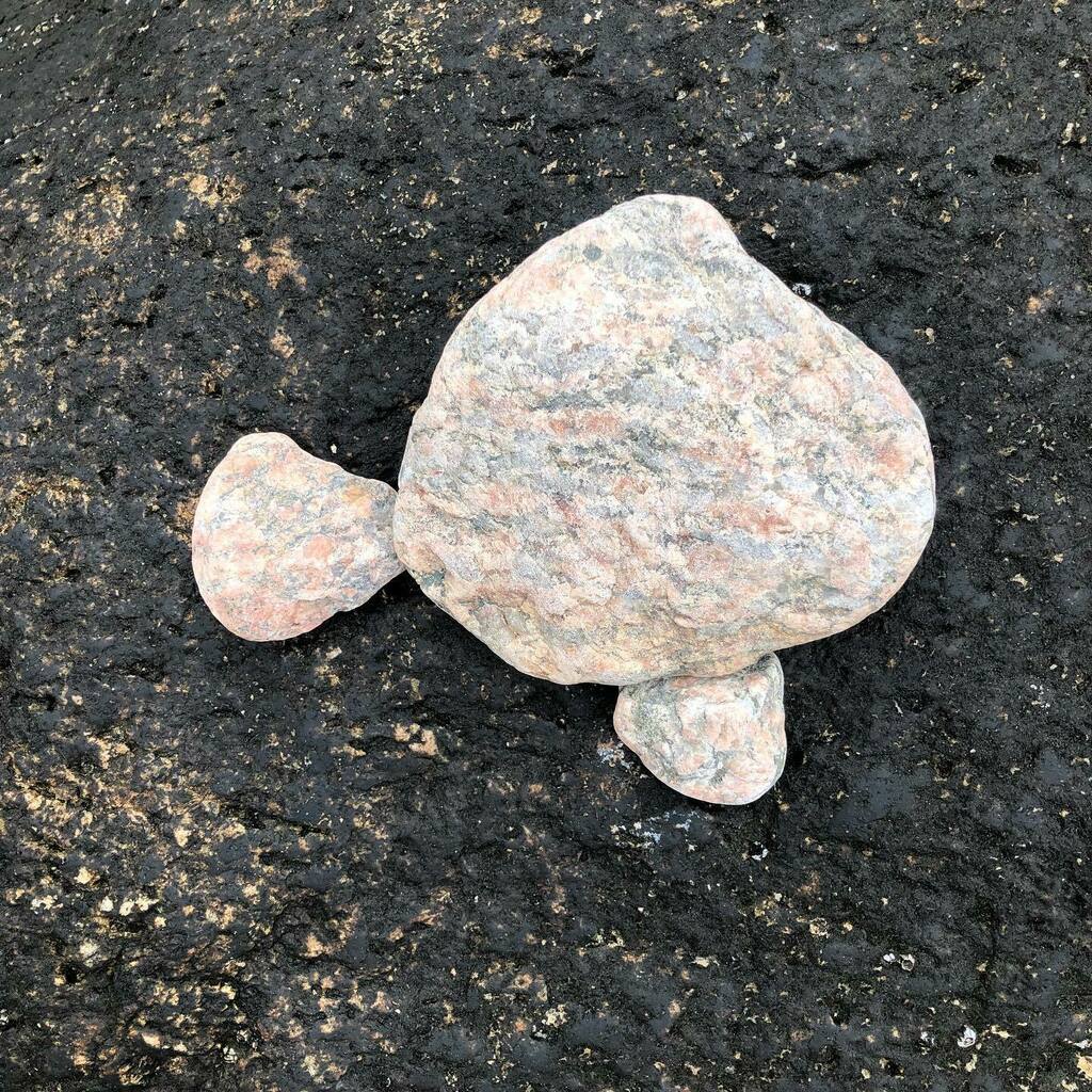 ConantArt's tweet photo. It’s been awhile! I made some environmental art with some art ed friends yesterday on the Cape! #foundfish21 #foundfishbuzzardsbay Thanks for the inspiration @heidihurl!It’s been awhile! I made some environmental art with some art ed friends yesterday on the Cape! #foundfish… https://t.co/AGCjKWxaoD