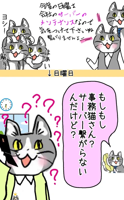 何 も 聞 い て い な い #現場猫 