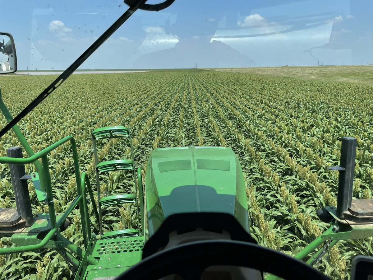 glm_farms's tweet photo. So begins the battle against SCA and army worms. Was hoping to miss out but @Jamestanbug gave us a pretty lengthy homework list! https://t.co/uLC2bwa63J