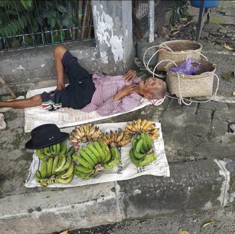 EWSHiddenTruths's tweet image. #NewProfilePic