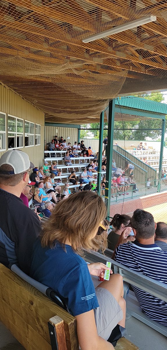 Little League D1 tweet media