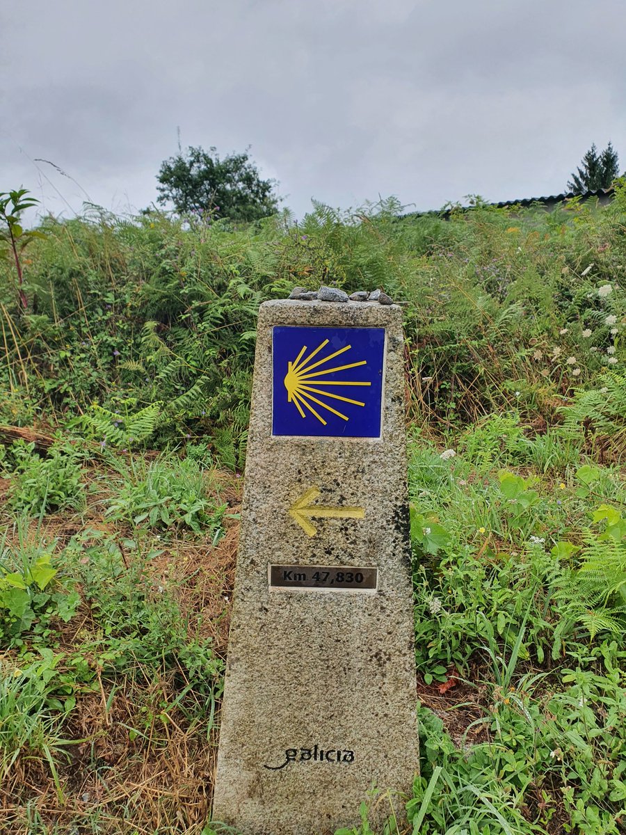 moonbrvth's tweet photo. ¡La cuarta etapa y la más larga terminada! Estoy sorprendida de la fortaleza que estoy teniendo estos días. Hemos estado más de 5 horas caminando sin parar y hubo tramos interminables bajo la lluvia, pero hemos llegado al albergue vivas y con los pies hechos un desastre. 🌼🌱🦶🏻 https://t.co/v9e9kxwtRg