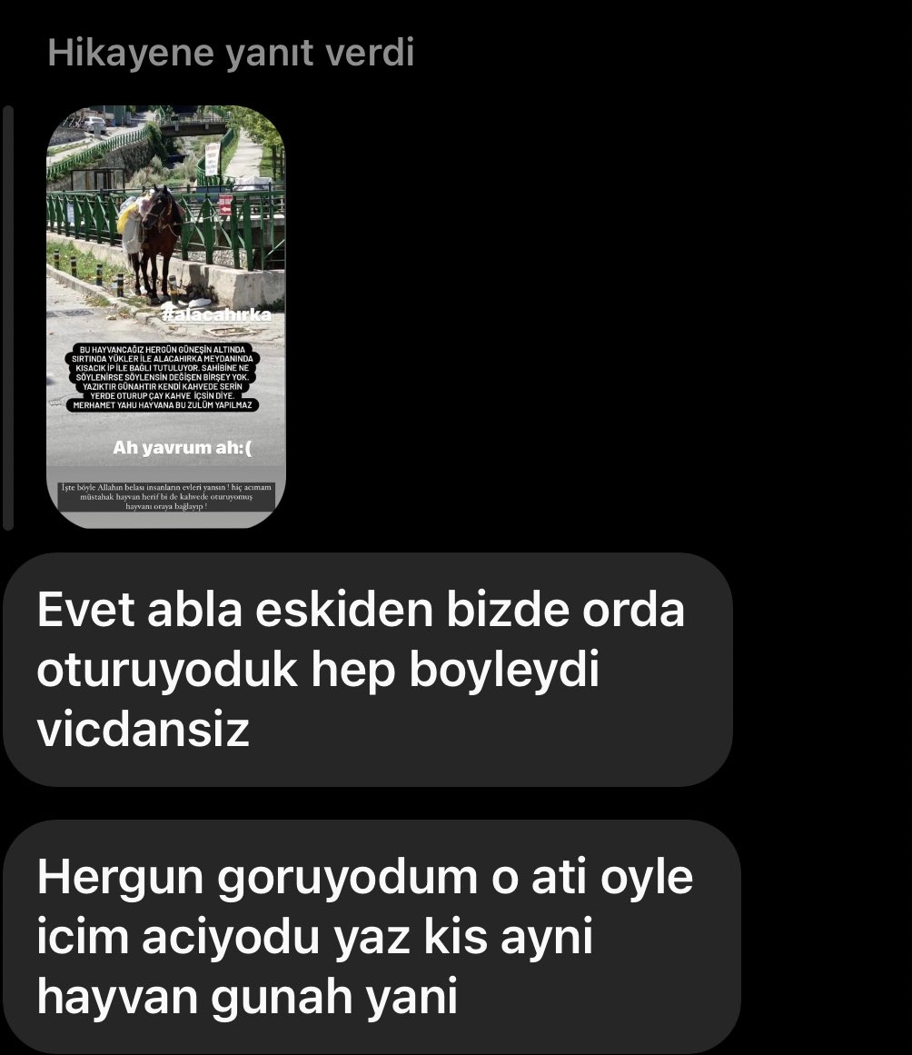 Arkadaşlar bu zavallı atı kurtarmak için çok retweet yaparız dime?