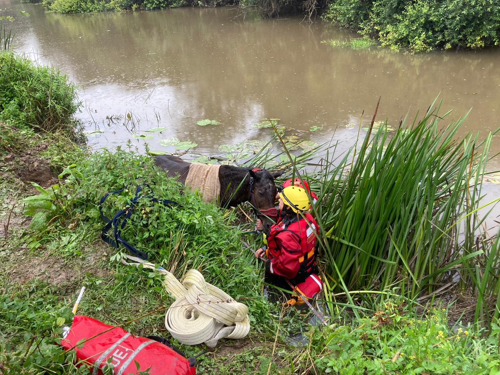 This afternoon at 15:53 we were called to Pulborough, where a horse got into trouble getting stuck in the river. Thanks to everyone involved, the horse was safely removed from the water and lead to safety by owners. <a href="/WSFRS_TRU/">WSFRS_TRU</a>