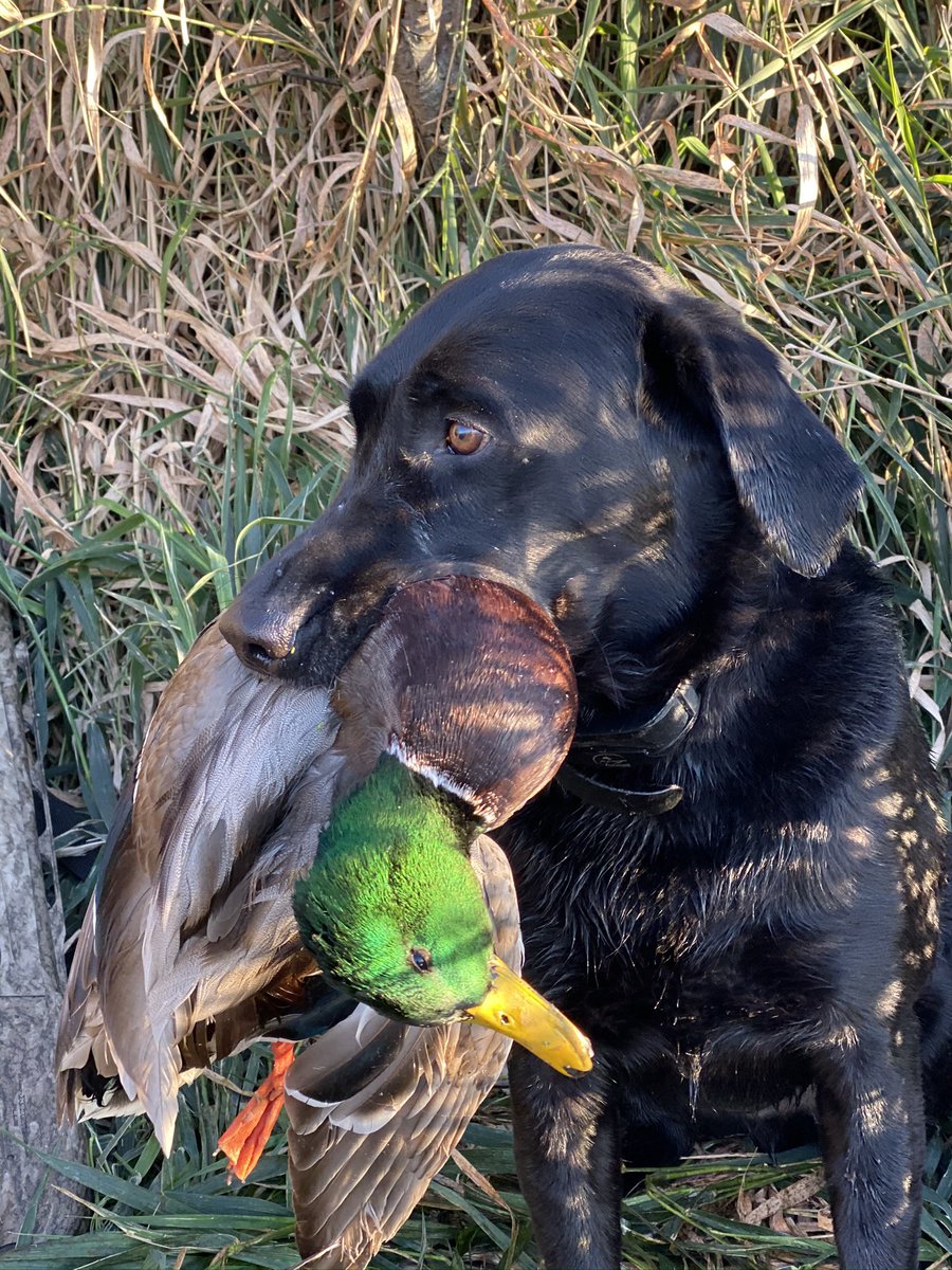HunterFarmer70's tweet photo. @Hayescalls https://t.co/NlU4a6dlLJ