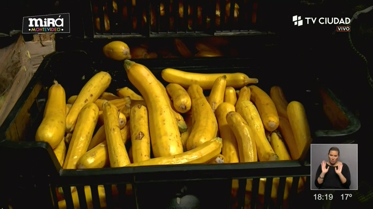 #MiráMontevideo <a href="/morenasimon_/">Morena Ferreira</a>  conversa con Yamandú Plada de <a href="/REDALCOUY/">Redalcouy</a> 

La organización selecciona alimentos en buen estado en la @UAM_Uy con voluntarios y se entregan con logística propia, a unas 320 instituciones beneficiarias.