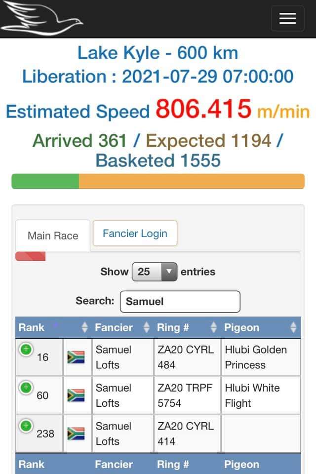 SamuelLofts's tweet photo. Samuel Lofts “Hlubi White Flight” “Hlubi Golden Princess” at the Victoria Falls Pigeon Race, 2021.

“Hlubi White Flight”- ZA 20 TRPF 5754.

Please follow link for more information: https://t.co/gxfaU79uhg https://t.co/P6EOL9PCSq