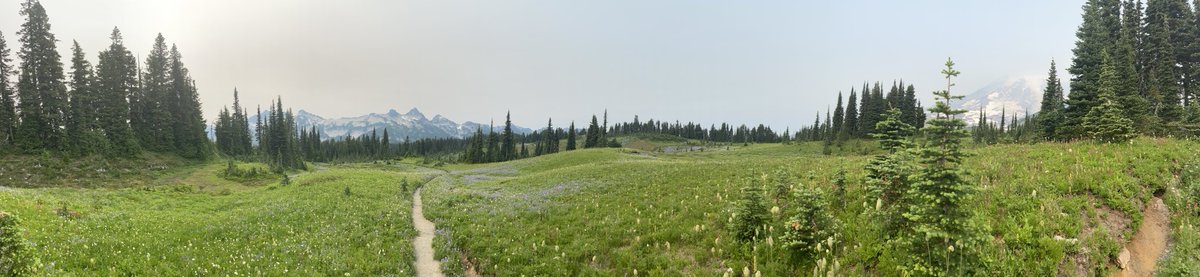 Dr_Nazarian_EP's tweet photo. #TatooshRange @mtrainier https://t.co/9eKxpTnZ63