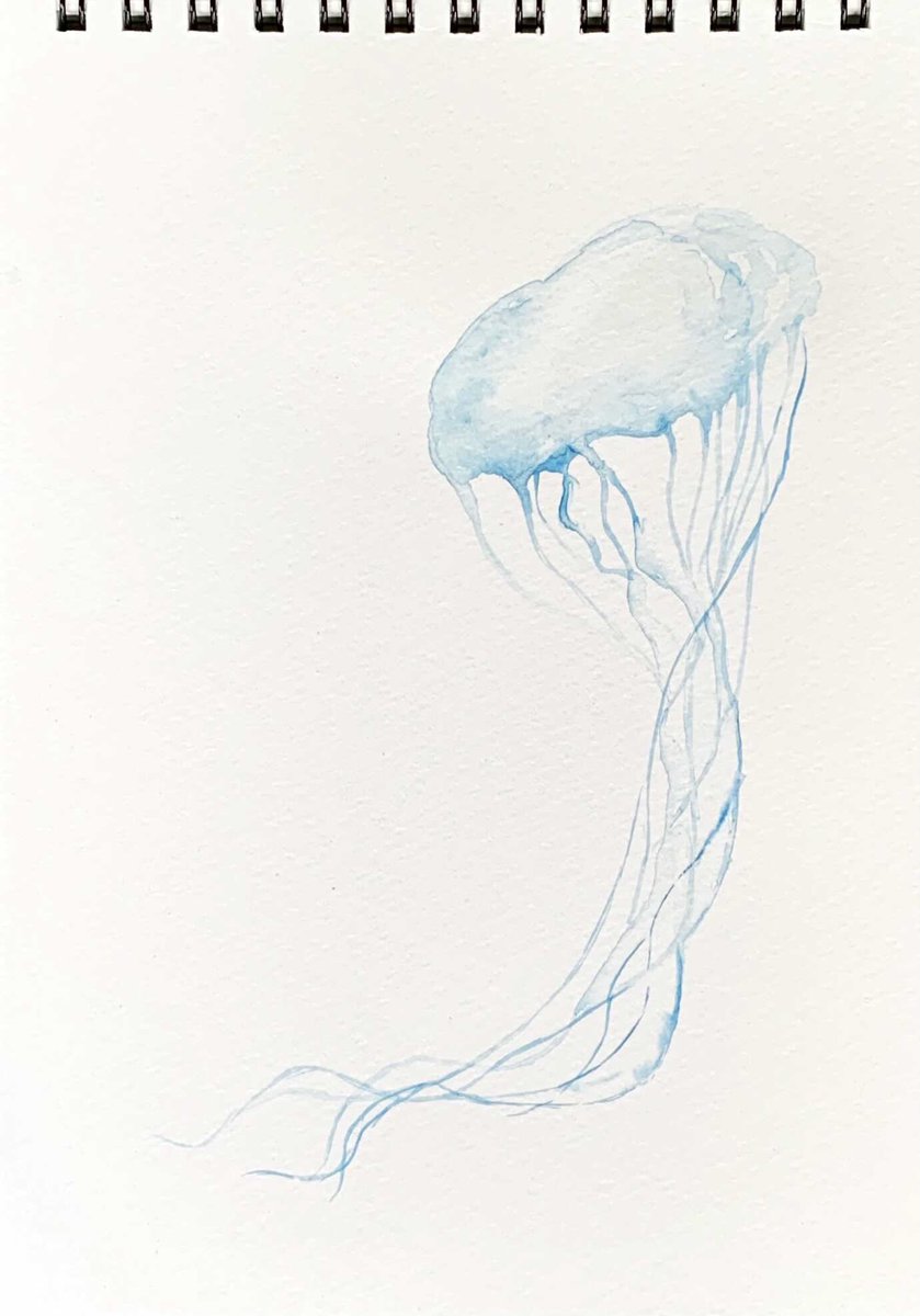 Twoucan 海遊館 の注目ツイート イラスト マンガ コスプレ モデル