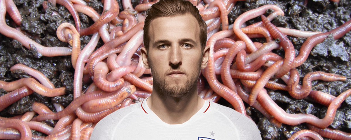 EarthwormTrust's tweet photo. Support your country. Adopt a worm today. #BeKindToEarthworms #AdoptDontBuy https://t.co/ss7ac7pxHL