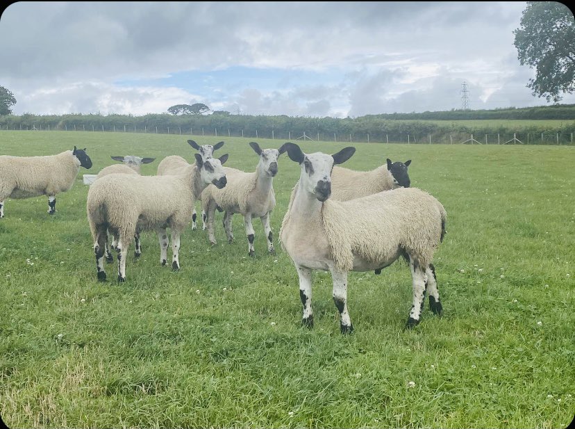 Proud to celebrate #farm24