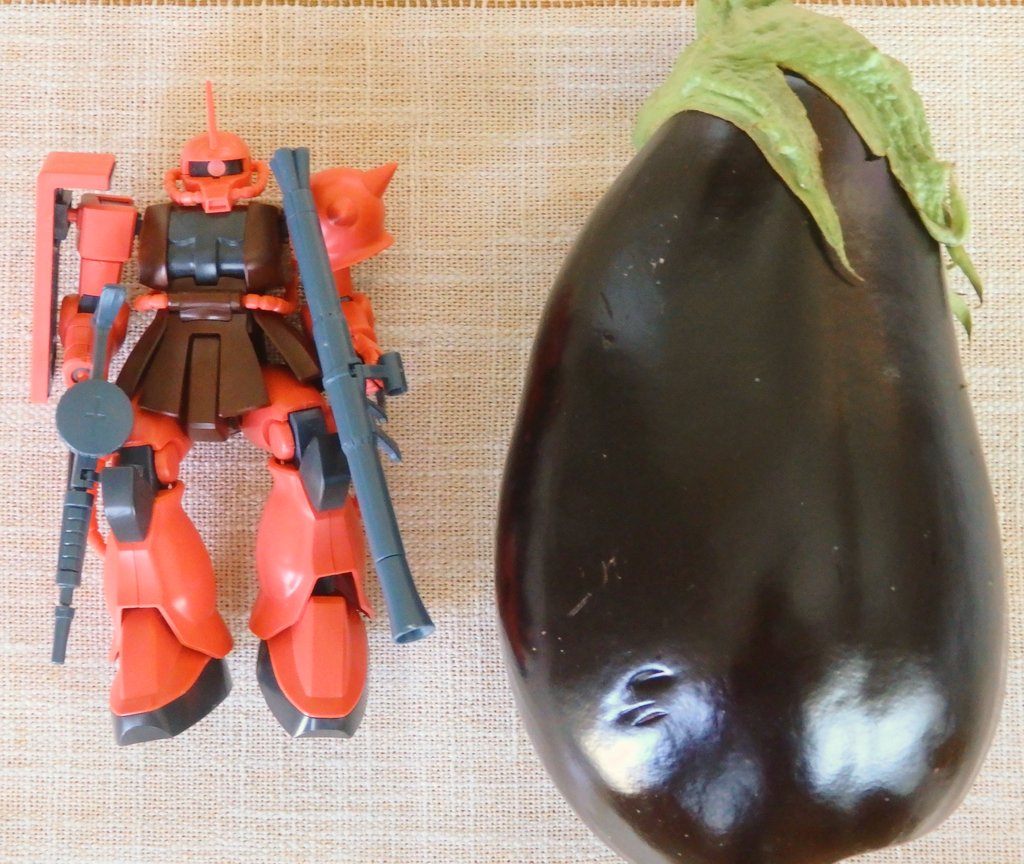 Elegano0's tweet photo. 長沼産「米茄子」は通常の3倍、通常の3倍でかい🍆 昨日の長沼ダイコンと合わせまして。ダイコンステーキ、米ナスステーキ。あっさりしょう油ペッパー風味。身のしまった茄子、ダイコンの辛味がたまらない和村野菜。比較のMS-06Sは1/144スケール
#エレガノキッチン #在宅ワーク飯 #長沼産野菜 #NS06 https://t.co/bkdpklUz5R