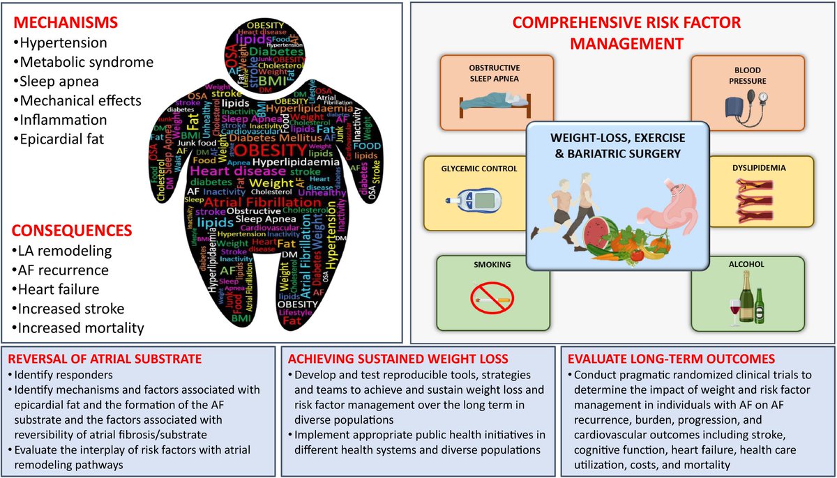 Want to transform research in secondary prevention of AF & its complications? Read NHLBI Workshop Report, published @JAHA_AHA. Thanks to coauthors #AF@nih_nhlbi @SanaAlkhatib9 @alonso_epi @J_Hendriks1 @stopafib @gregorymmarcus @ReenaMehra0203 @ratika_parkash @PrashSanders