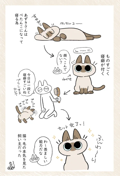 寝癖すごいし直し方もすごい #シャム猫あずきさんは世界の中心 