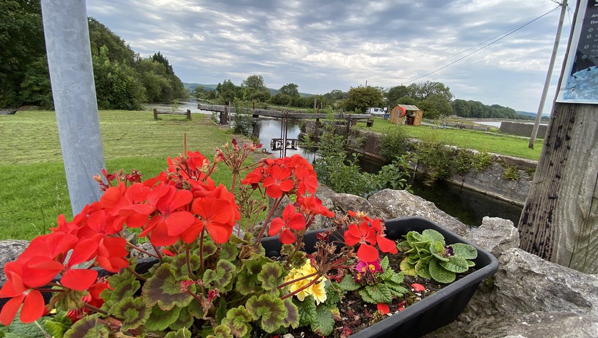 Dementiafriendx's tweet image. Sometimes we need to stop!  Take a look around, actually SEE the beauty all around us, The people in our lives,Who have ALWAYS been there for us! Quietly in the background, giving us the strength we need to greet another day, Let today be that day. Never Lose Hope🪴Happy weekend