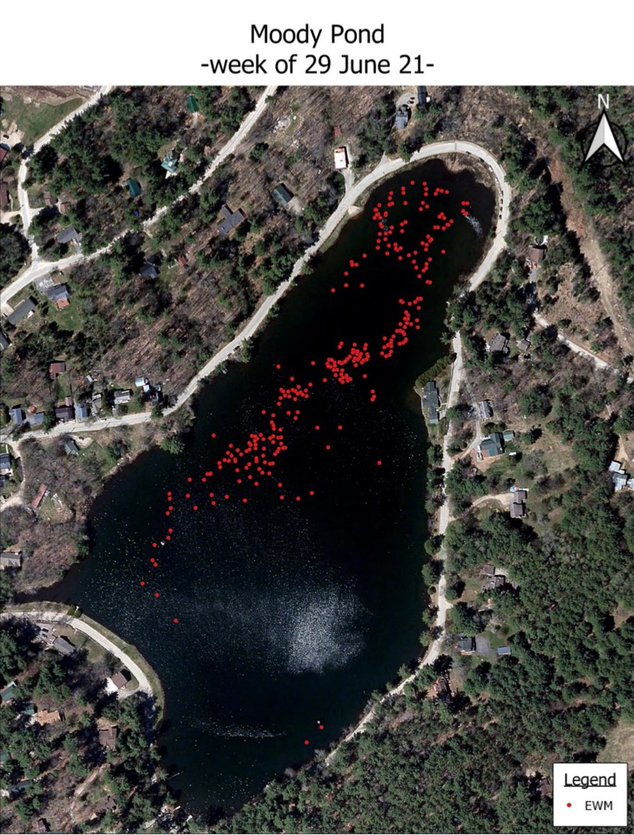 moody_pond's tweet photo. We hired Invasive Dive Solutions Company to harvest milfoil in June. These are their findings. They were able to remove 575 lbs of milfoil from the pond &amp; plan to return this fall for 1 more week of harvesting. Without your support we wouldn’t have been able to make this happen. https://t.co/OnI2W2bftz