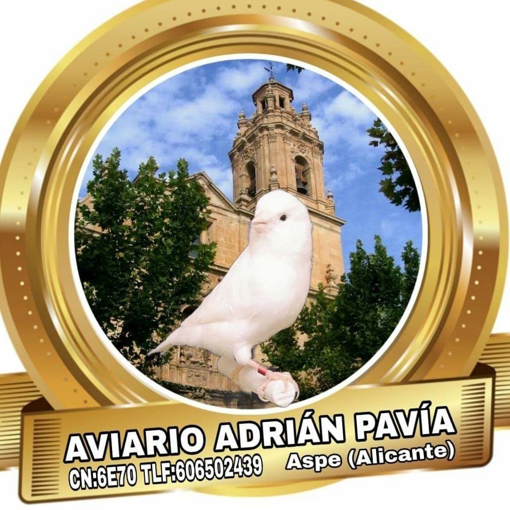 Adri_corneta's tweet photo. #NuevaFotoDePerfil https://t.co/xJv5yxOOX4
