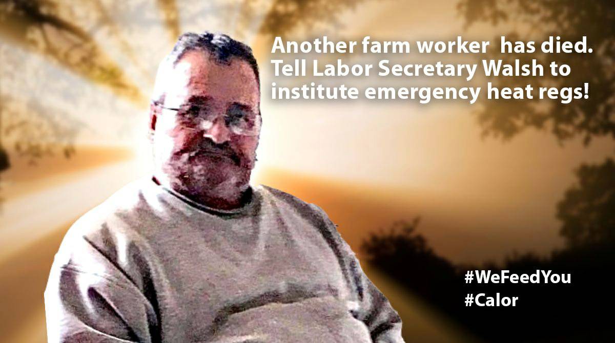 Temperatures are soaring and another farm worker died. Tell <a href="/SecMartyWalsh/">Secretary Marty Walsh</a> to institute emergency heat regs NOW.  Workers' lives are being threatened by extreme heat. 
Act now @ act.seiu.org/a/heatdol
#WeFeedYou #Calor