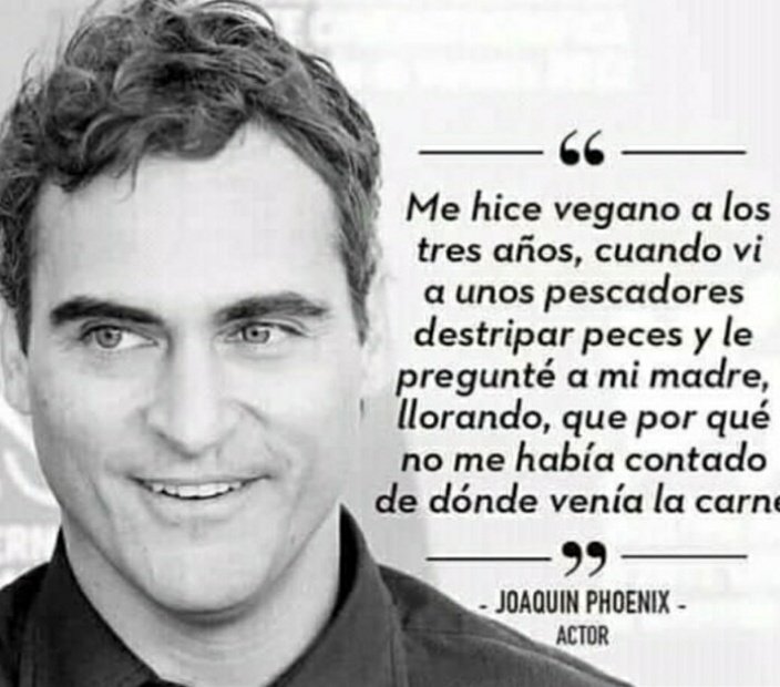 Laura Isabel Gordillo tweet media