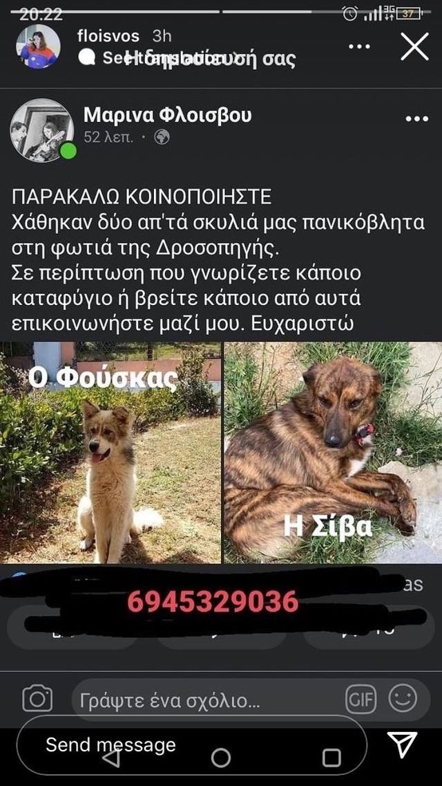 EmptyTheCages_'s tweet photo. #χαμενα #ζωα #πυρκαγιες #αττικη https://t.co/eVJnOnoh36