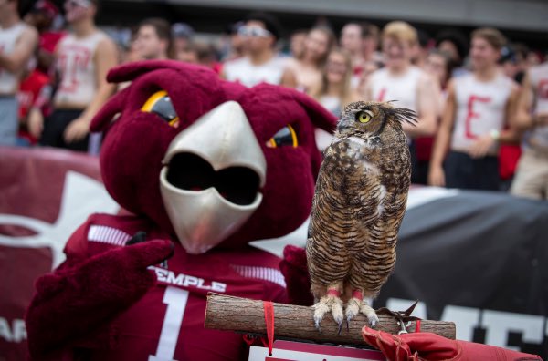 TempleAlumni's tweet photo. Sign up now for Homecoming and Family Weekend 2021 featured events! Homecoming is a celebration of Temple pride and traditions 🍒 And stay tuned for more info on additional Homecoming events. #TempleHC21 #TempleHomecoming #TempleOwls https://t.co/j8KllJKfXV https://t.co/Ur6svVQ7z4