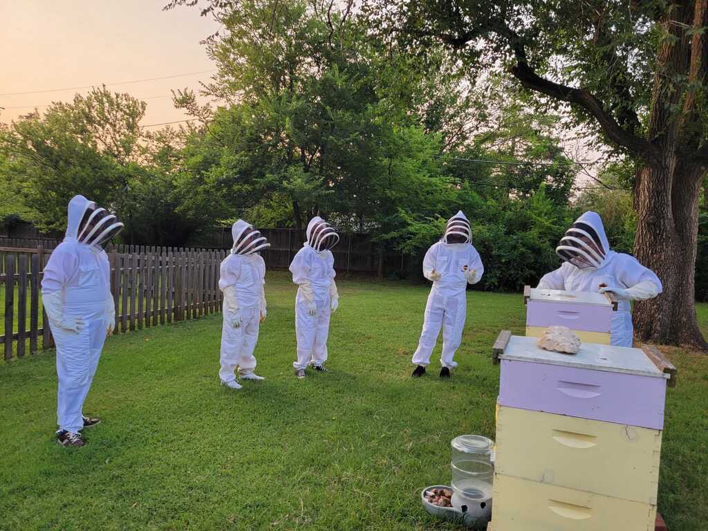 OUBeeClub's tweet image. 🐝🍯Hive Check🍯🐝 #bees #beekeeping #savethebees