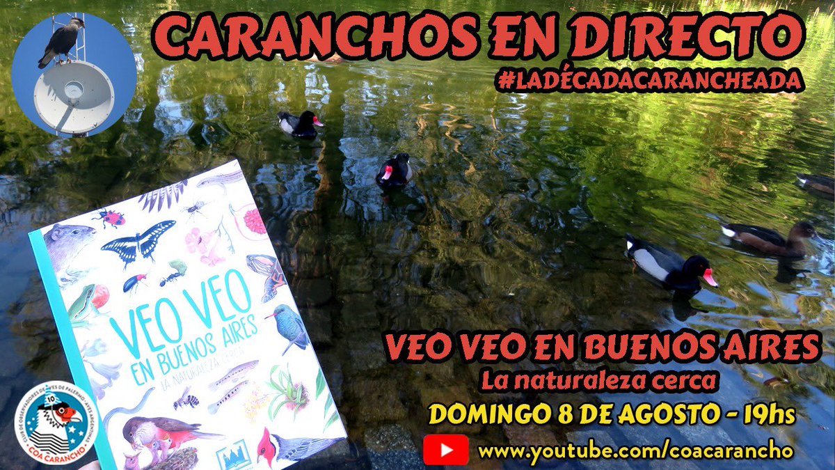 COAPalermo's tweet photo. 🗓️ Domingo 8 de agosto 
⏰ 19hs 
📍 YouTube https://t.co/pdoGSxbHjt
Comienza el Mes de las Infancias en #CaranchosEnDirecto 
💁‍♂️💁🏻‍♀️Charla con dos de los autores de VEO VEO EN BUENOS AIRES, Marcelo Canevari, padre e hijo (sigue👇🏻) https://t.co/JftwU2nWlf