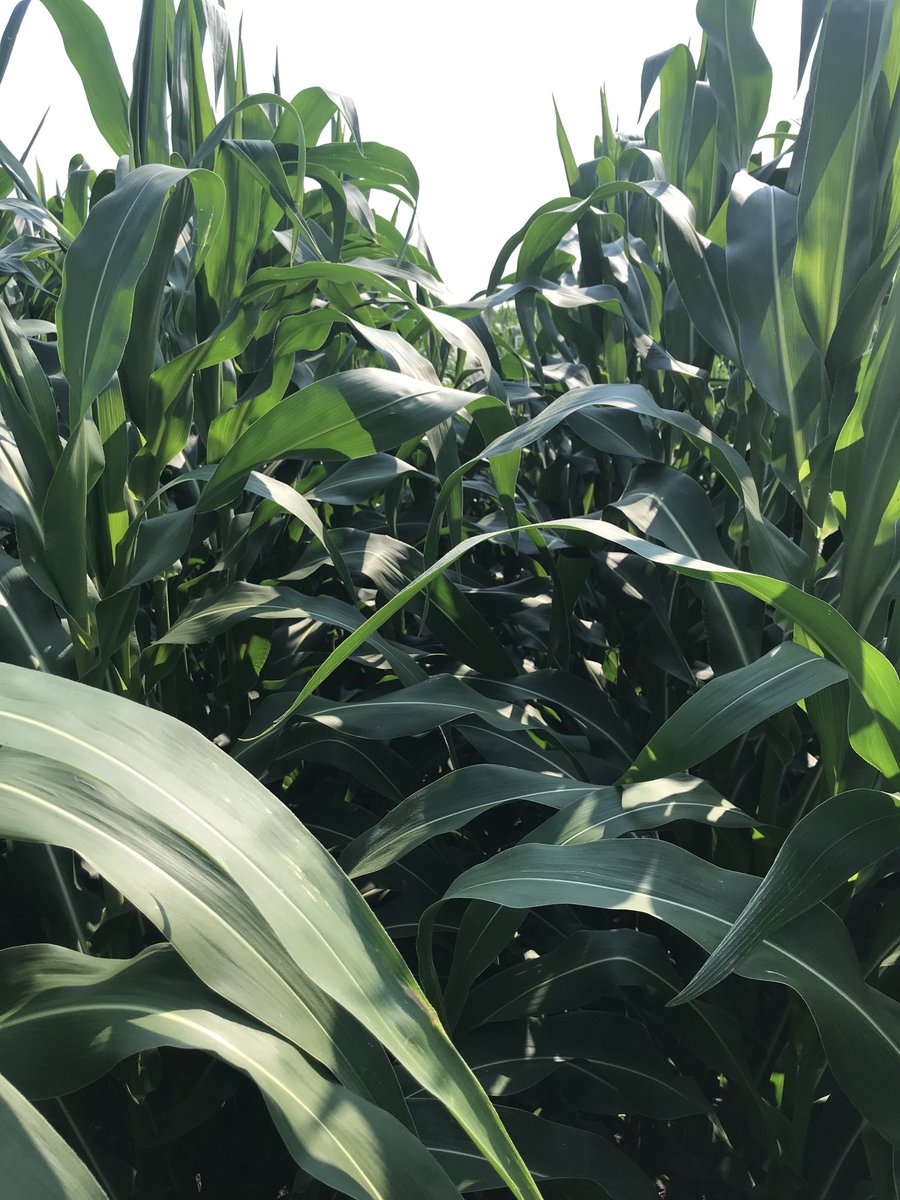 Bill Letondre tweet media