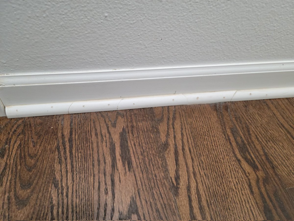 JtxRei's tweet photo. Here's a pic of a bad job the first contractor I ever hired did.
What would you do if your contractor installed your quarter round like this? π€¦ββοΈπ€
#badcontractor https://t.co/Tavp7qdzyC