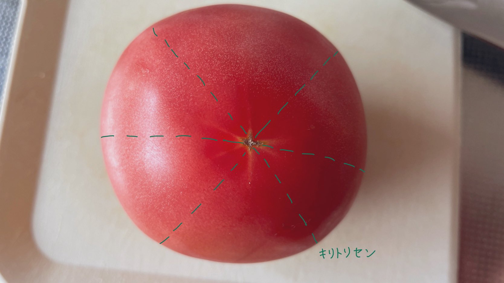 有限会社安井ファーム 選ばれしトマトはオシリに スターマーク と呼ばれる白いスジのようなものが確認できます スターマークの下には種があるため これを避けて切ることでトマトがぐしゃらっと潰れず まな板の汚れも最小限にできるという小技は