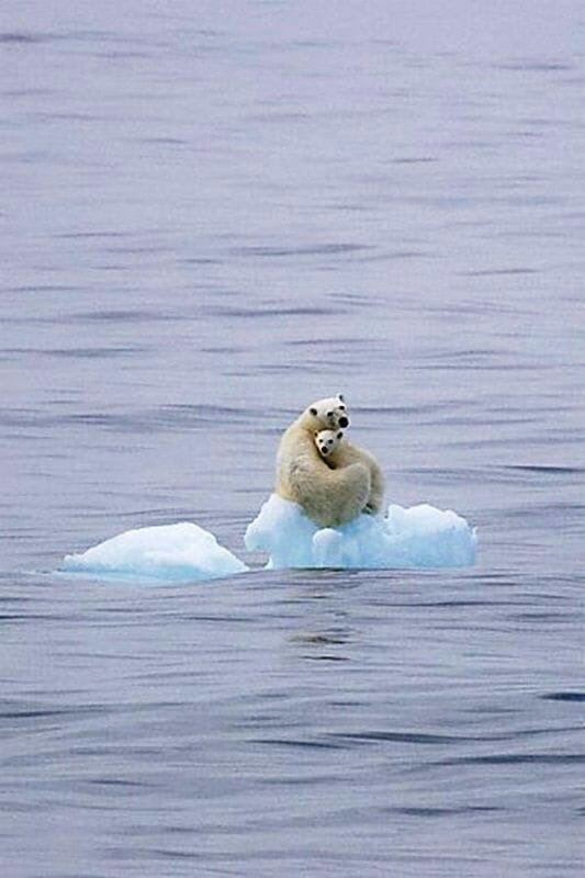 jilevin's tweet photo. Climate change: https://t.co/IwsaIMxZk7